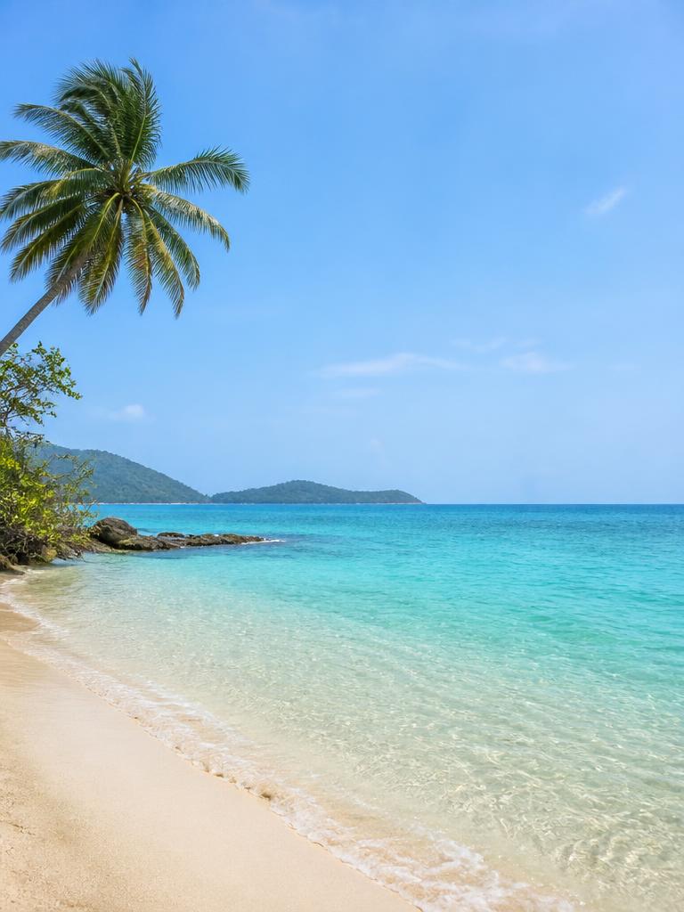 Domestic and international holiday destinations